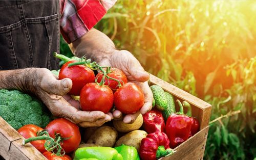 在萬億元的農產品上行市場,誰會擁有話語權