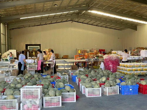 新疆農產品電商出疆,首選這里 中轉