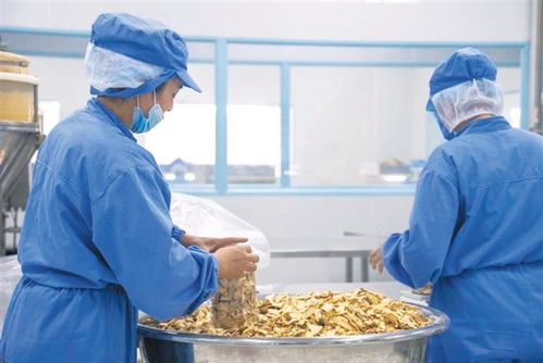 曲靖高原特色農產品破圈出海 產貿融合提質效 外向突圍拓開放