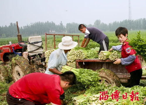 農商互聯的 新星實踐