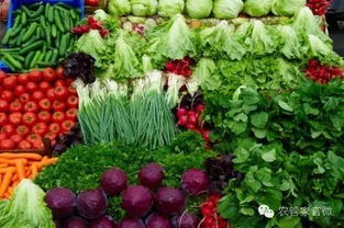 無公害農產品認證：嚴格申請鑄就信賴保障