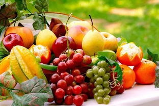 提升生鮮冷鏈流通率與發展溫室種植 助推我國農產品銷售升級