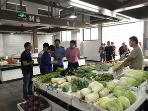 構筑食品安全防火墻 撐起群眾健康保護傘——義亭人大開展農貿市場食品安全監督檢查活動