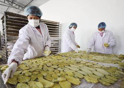 河北農產品加工業年產值破萬億大關，實現十年翻番