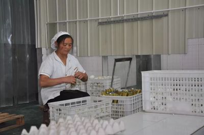 資陽丹山 電商賦能特色農產品，加工廠引領銷售新方向