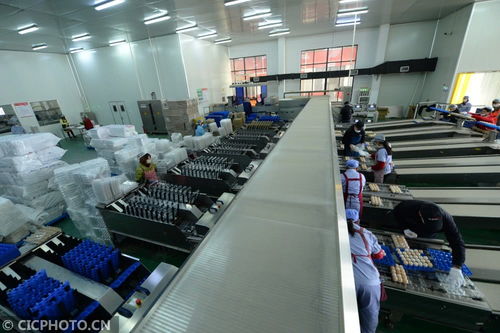 江蘇太倉(cāng)農(nóng)產(chǎn)品生產(chǎn)穩(wěn)定，市場(chǎng)供應(yīng)有保障