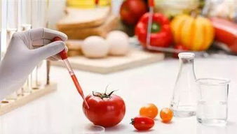 農(nóng)產(chǎn)品的銷(xiāo)售 從田間到餐桌的旅程