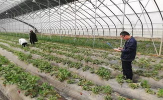 農(nóng)產(chǎn)品抽檢保障安全 親子活動(dòng)共筑美好生活