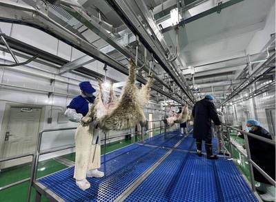 龍頭企業(yè)帶動(dòng)產(chǎn)業(yè)發(fā)展，定邊縣實(shí)現(xiàn)農(nóng)產(chǎn)品生產(chǎn)與就業(yè)雙贏