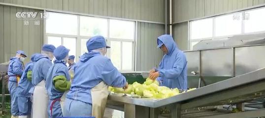 鄉(xiāng)村產(chǎn)業(yè)振興全面發(fā)力 農(nóng)業(yè)農(nóng)村發(fā)展呈現(xiàn)新氣象