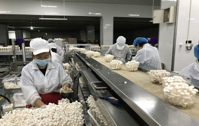 成都豐科生物科技開(kāi)啟'防疫泡泡'模式，實(shí)現(xiàn)保供生產(chǎn)兩不誤