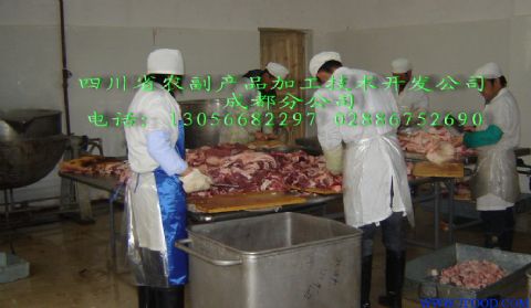 新型大豆蛋白豬肉脯設備供應信息 引領(lǐng)農(nóng)產(chǎn)品加工科技革命