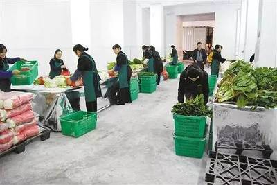 農(nóng)產(chǎn)品四大流通模式 利弊分析與前景展望